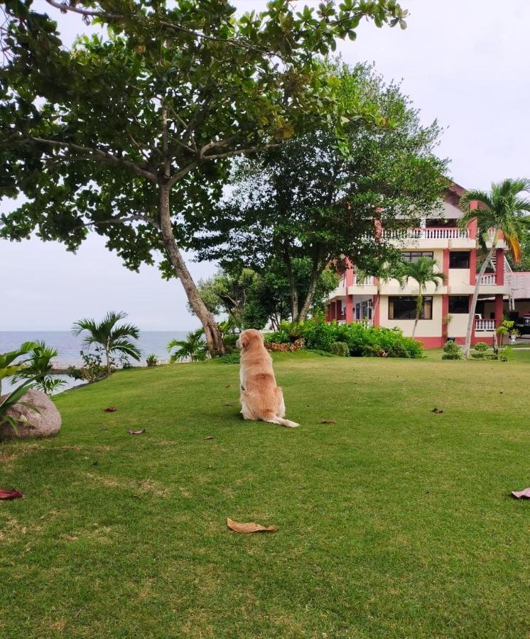 Wuthering Heights Bed & Breakfast By The Sea Dumaguete City Экстерьер фото