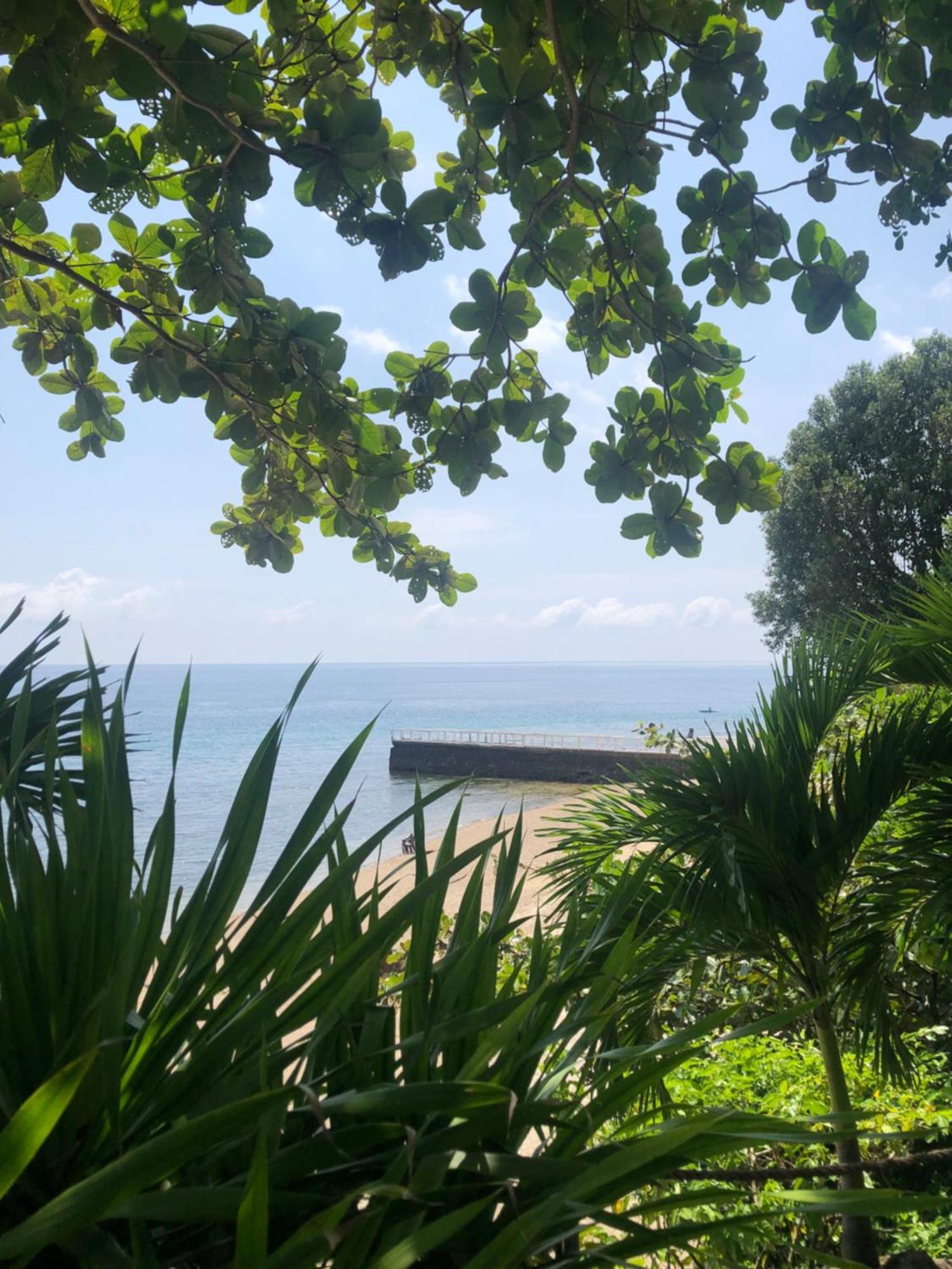 Wuthering Heights Bed & Breakfast By The Sea Dumaguete City Экстерьер фото
