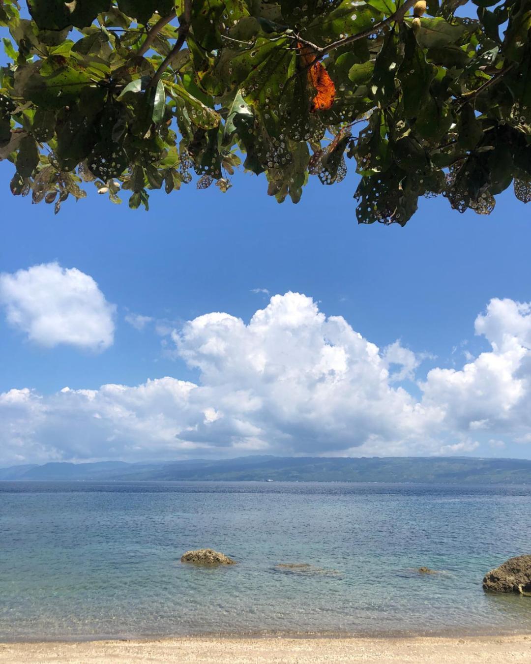 Wuthering Heights Bed & Breakfast By The Sea Dumaguete City Экстерьер фото