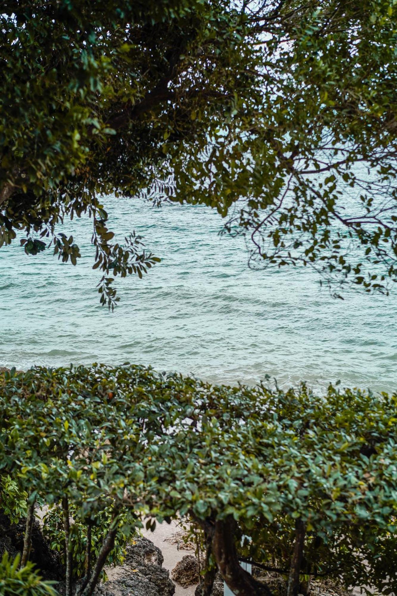Wuthering Heights Bed & Breakfast By The Sea Dumaguete City Экстерьер фото
